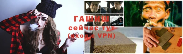 хмурый Арсеньев