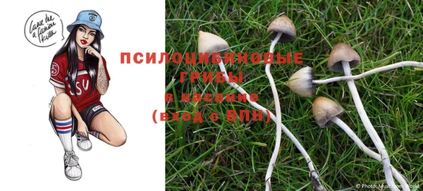 ПСИЛОЦИБИНОВЫЕ ГРИБЫ Аркадак