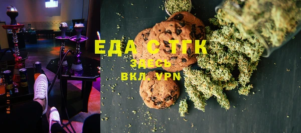 хмурый Арсеньев