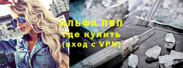 хмурый Арсеньев