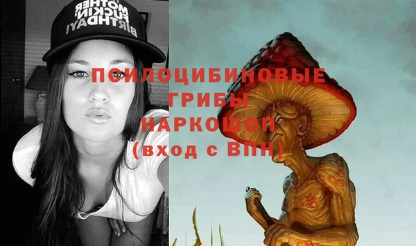 ПСИЛОЦИБИНОВЫЕ ГРИБЫ Аркадак