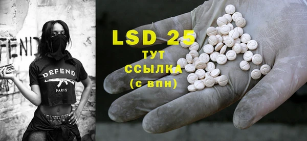 ПСИЛОЦИБИНОВЫЕ ГРИБЫ Аркадак