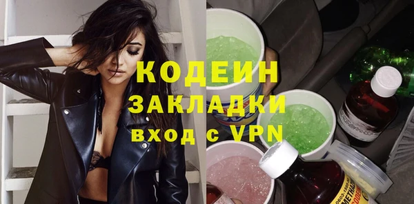 хмурый Арсеньев