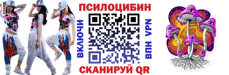 нарко площадка наркотические препараты  Первомайск  Псилоцибиновые грибы прущие грибы  как найти закладки 