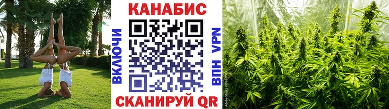 Бошки Шишки ГИДРОПОН  Первомайск 